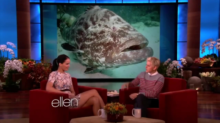 November_212C_2012_-__The_Ellen_DeGeneres_Show_2880529.jpg
