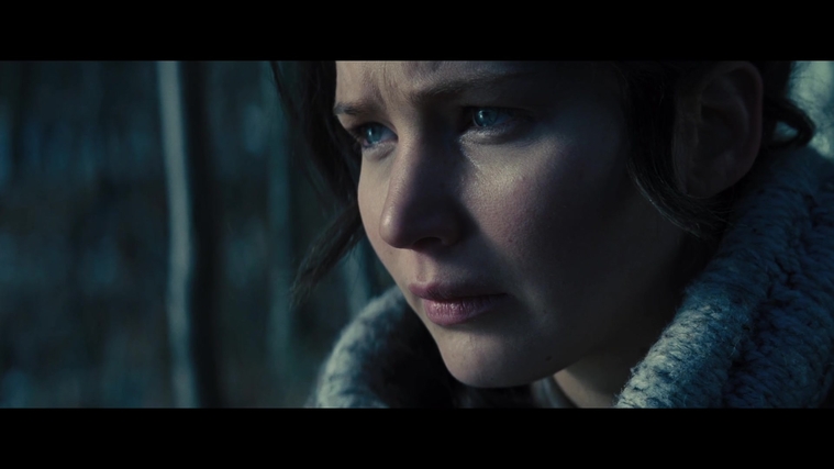 The_Hunger_Games_Catching_Fire_2013_1080p_BluRay_x264_AAC_-_Ozlem_00091.jpg