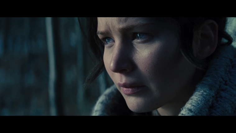 The_Hunger_Games_Catching_Fire_2013_1080p_BluRay_x264_AAC_-_Ozlem_00092.jpg
