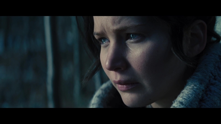 The_Hunger_Games_Catching_Fire_2013_1080p_BluRay_x264_AAC_-_Ozlem_00094.jpg