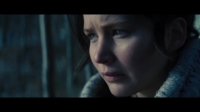 The_Hunger_Games_Catching_Fire_2013_1080p_BluRay_x264_AAC_-_Ozlem_00095.jpg