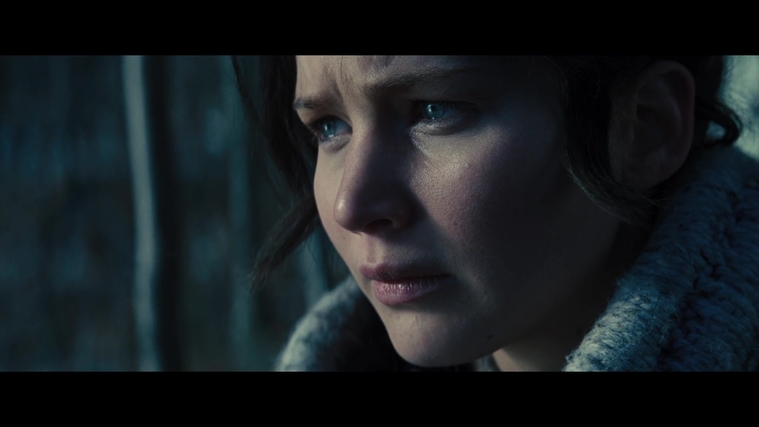The_Hunger_Games_Catching_Fire_2013_1080p_BluRay_x264_AAC_-_Ozlem_00101.jpg