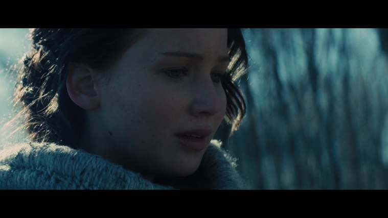The_Hunger_Games_Catching_Fire_2013_1080p_BluRay_x264_AAC_-_Ozlem_00124.jpg