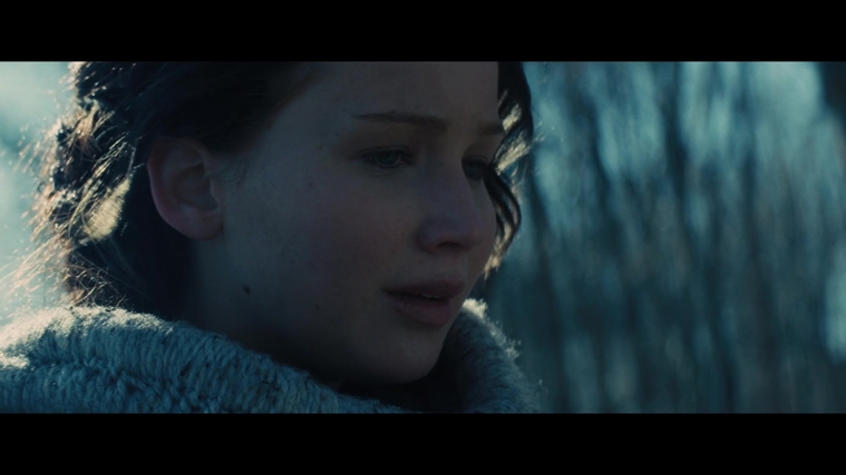 The_Hunger_Games_Catching_Fire_2013_1080p_BluRay_x264_AAC_-_Ozlem_00125.jpg