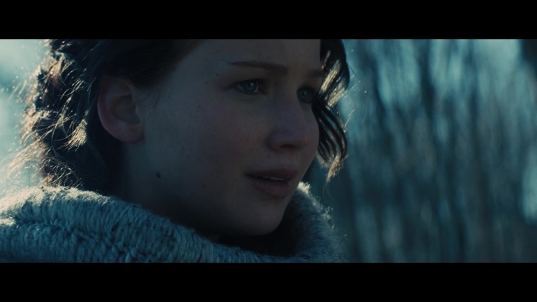 The_Hunger_Games_Catching_Fire_2013_1080p_BluRay_x264_AAC_-_Ozlem_00128.jpg