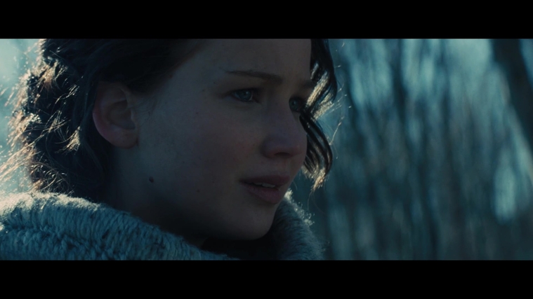 The_Hunger_Games_Catching_Fire_2013_1080p_BluRay_x264_AAC_-_Ozlem_00135.jpg