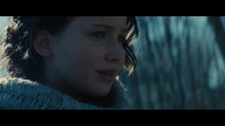 The_Hunger_Games_Catching_Fire_2013_1080p_BluRay_x264_AAC_-_Ozlem_00136.jpg