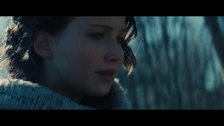 The_Hunger_Games_Catching_Fire_2013_1080p_BluRay_x264_AAC_-_Ozlem_00137.jpg
