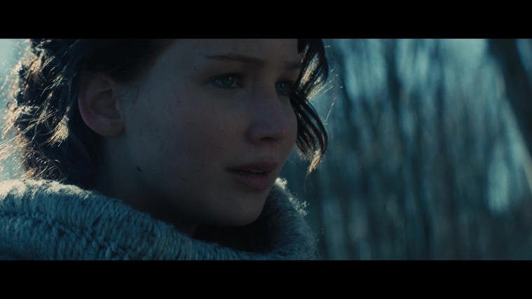 The_Hunger_Games_Catching_Fire_2013_1080p_BluRay_x264_AAC_-_Ozlem_00138.jpg