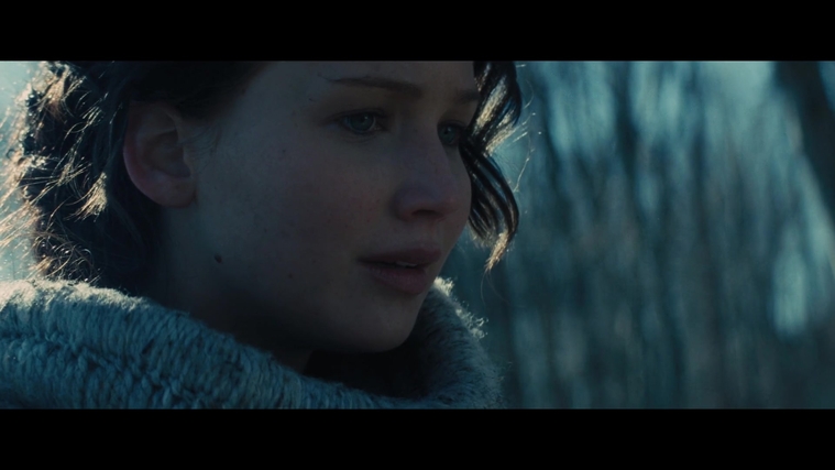 The_Hunger_Games_Catching_Fire_2013_1080p_BluRay_x264_AAC_-_Ozlem_00139.jpg