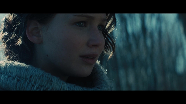The_Hunger_Games_Catching_Fire_2013_1080p_BluRay_x264_AAC_-_Ozlem_00144.jpg