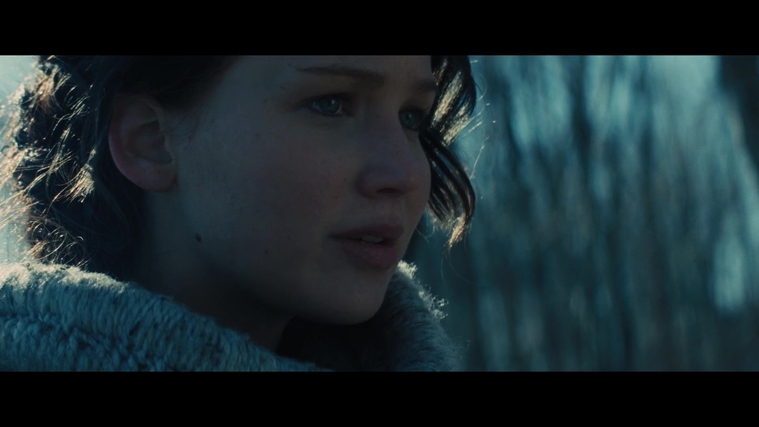The_Hunger_Games_Catching_Fire_2013_1080p_BluRay_x264_AAC_-_Ozlem_00145.jpg