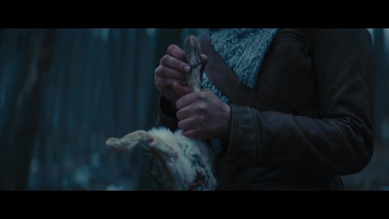 The_Hunger_Games_Catching_Fire_2013_1080p_BluRay_x264_AAC_-_Ozlem_00155.jpg