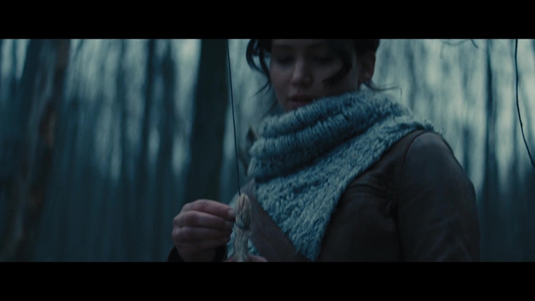 The_Hunger_Games_Catching_Fire_2013_1080p_BluRay_x264_AAC_-_Ozlem_00158.jpg