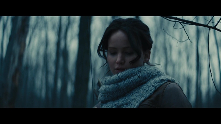 The_Hunger_Games_Catching_Fire_2013_1080p_BluRay_x264_AAC_-_Ozlem_00159.jpg