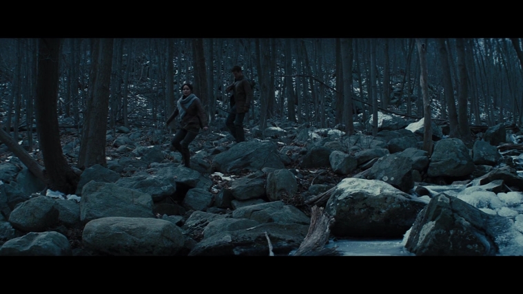 The_Hunger_Games_Catching_Fire_2013_1080p_BluRay_x264_AAC_-_Ozlem_00184.jpg