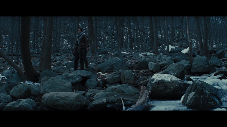 The_Hunger_Games_Catching_Fire_2013_1080p_BluRay_x264_AAC_-_Ozlem_00188.jpg