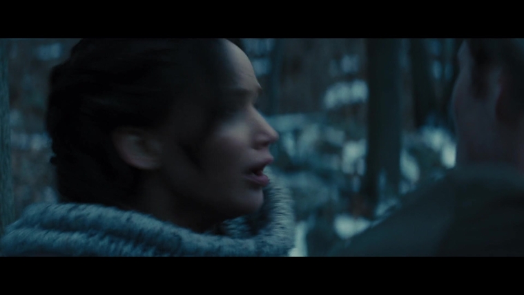 The_Hunger_Games_Catching_Fire_2013_1080p_BluRay_x264_AAC_-_Ozlem_00238.jpg