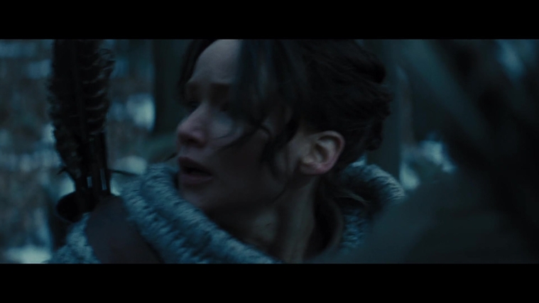 The_Hunger_Games_Catching_Fire_2013_1080p_BluRay_x264_AAC_-_Ozlem_00239.jpg