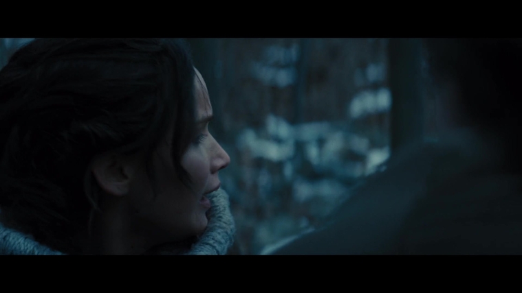 The_Hunger_Games_Catching_Fire_2013_1080p_BluRay_x264_AAC_-_Ozlem_00241.jpg