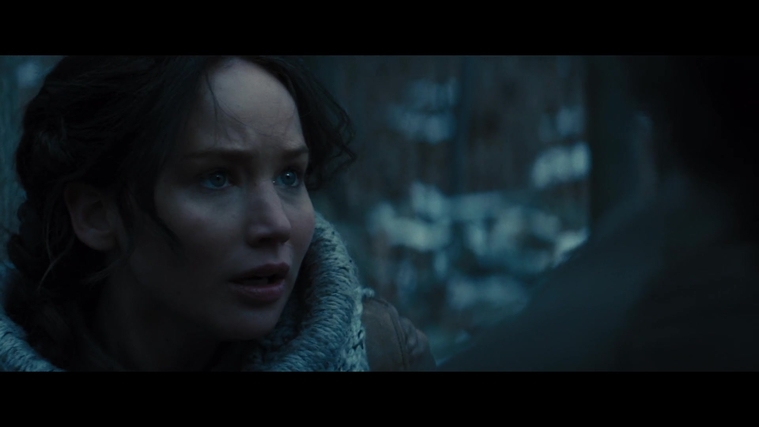 The_Hunger_Games_Catching_Fire_2013_1080p_BluRay_x264_AAC_-_Ozlem_00242.jpg