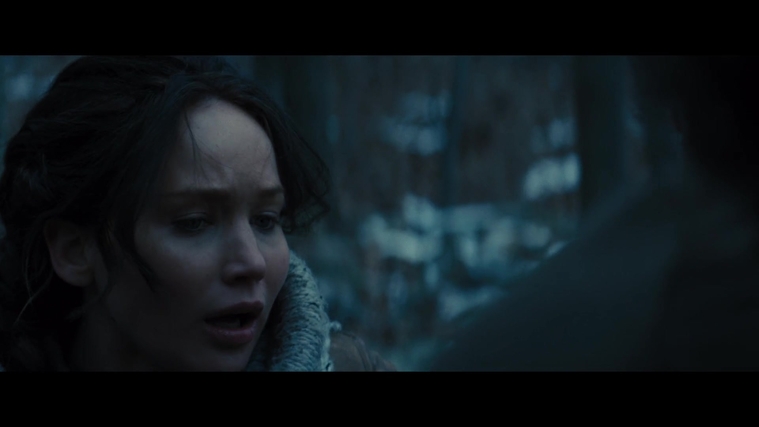 The_Hunger_Games_Catching_Fire_2013_1080p_BluRay_x264_AAC_-_Ozlem_00243.jpg