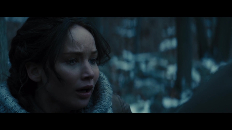 The_Hunger_Games_Catching_Fire_2013_1080p_BluRay_x264_AAC_-_Ozlem_00244.jpg