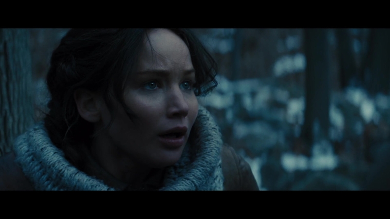 The_Hunger_Games_Catching_Fire_2013_1080p_BluRay_x264_AAC_-_Ozlem_00245.jpg