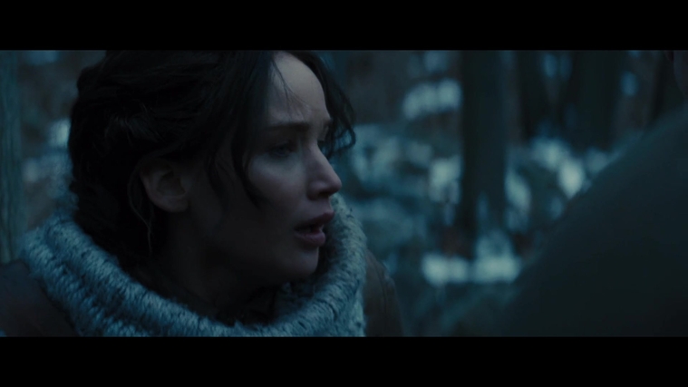 The_Hunger_Games_Catching_Fire_2013_1080p_BluRay_x264_AAC_-_Ozlem_00248.jpg