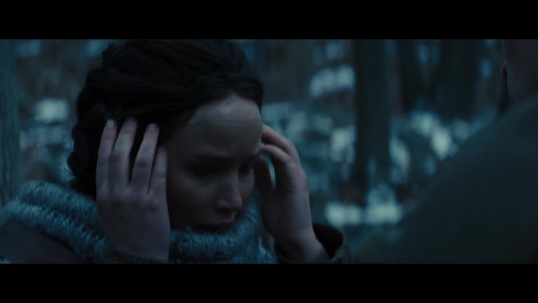 The_Hunger_Games_Catching_Fire_2013_1080p_BluRay_x264_AAC_-_Ozlem_00250.jpg