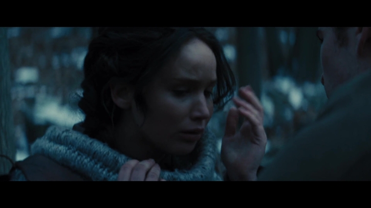 The_Hunger_Games_Catching_Fire_2013_1080p_BluRay_x264_AAC_-_Ozlem_00251.jpg
