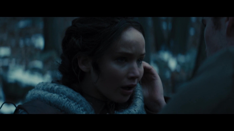 The_Hunger_Games_Catching_Fire_2013_1080p_BluRay_x264_AAC_-_Ozlem_00252.jpg