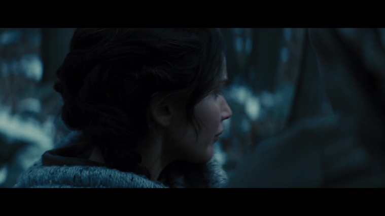 The_Hunger_Games_Catching_Fire_2013_1080p_BluRay_x264_AAC_-_Ozlem_00256.jpg
