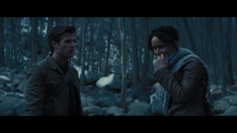 The_Hunger_Games_Catching_Fire_2013_1080p_BluRay_x264_AAC_-_Ozlem_00260.jpg