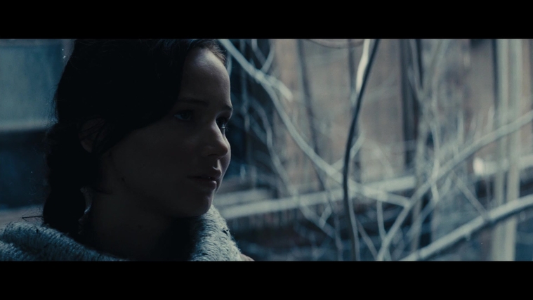 The_Hunger_Games_Catching_Fire_2013_1080p_BluRay_x264_AAC_-_Ozlem_00302.jpg
