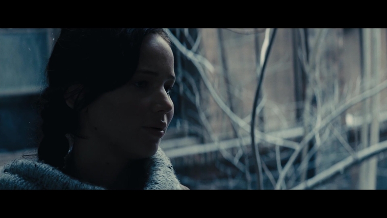 The_Hunger_Games_Catching_Fire_2013_1080p_BluRay_x264_AAC_-_Ozlem_00303.jpg