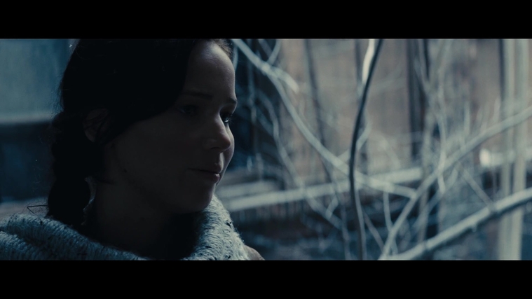 The_Hunger_Games_Catching_Fire_2013_1080p_BluRay_x264_AAC_-_Ozlem_00304.jpg