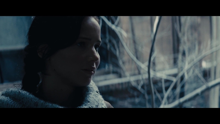 The_Hunger_Games_Catching_Fire_2013_1080p_BluRay_x264_AAC_-_Ozlem_00305.jpg