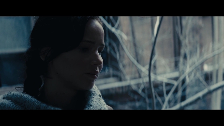 The_Hunger_Games_Catching_Fire_2013_1080p_BluRay_x264_AAC_-_Ozlem_00306.jpg