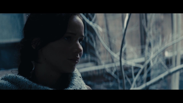 The_Hunger_Games_Catching_Fire_2013_1080p_BluRay_x264_AAC_-_Ozlem_00307.jpg