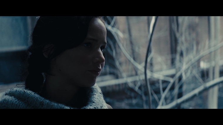 The_Hunger_Games_Catching_Fire_2013_1080p_BluRay_x264_AAC_-_Ozlem_00310.jpg