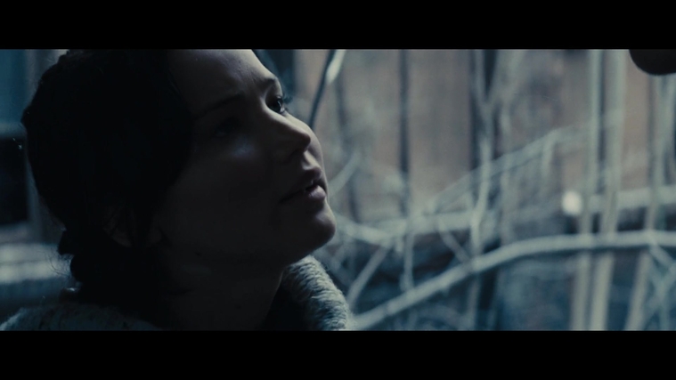 The_Hunger_Games_Catching_Fire_2013_1080p_BluRay_x264_AAC_-_Ozlem_00325.jpg