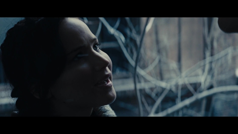 The_Hunger_Games_Catching_Fire_2013_1080p_BluRay_x264_AAC_-_Ozlem_00326.jpg