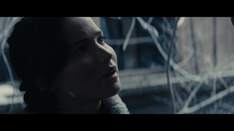 The_Hunger_Games_Catching_Fire_2013_1080p_BluRay_x264_AAC_-_Ozlem_00330.jpg