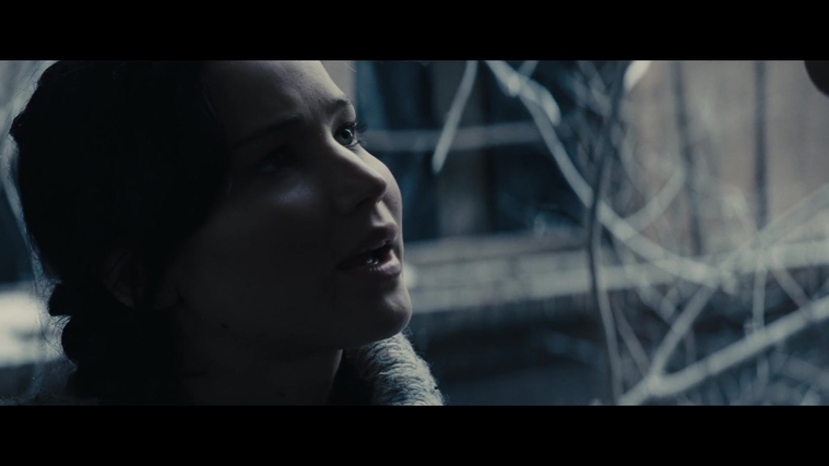 The_Hunger_Games_Catching_Fire_2013_1080p_BluRay_x264_AAC_-_Ozlem_00331.jpg