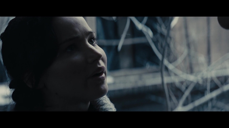 The_Hunger_Games_Catching_Fire_2013_1080p_BluRay_x264_AAC_-_Ozlem_00332.jpg