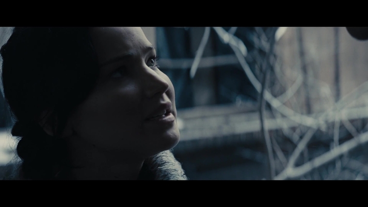 The_Hunger_Games_Catching_Fire_2013_1080p_BluRay_x264_AAC_-_Ozlem_00333.jpg