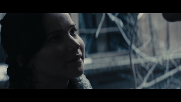 The_Hunger_Games_Catching_Fire_2013_1080p_BluRay_x264_AAC_-_Ozlem_00334.jpg