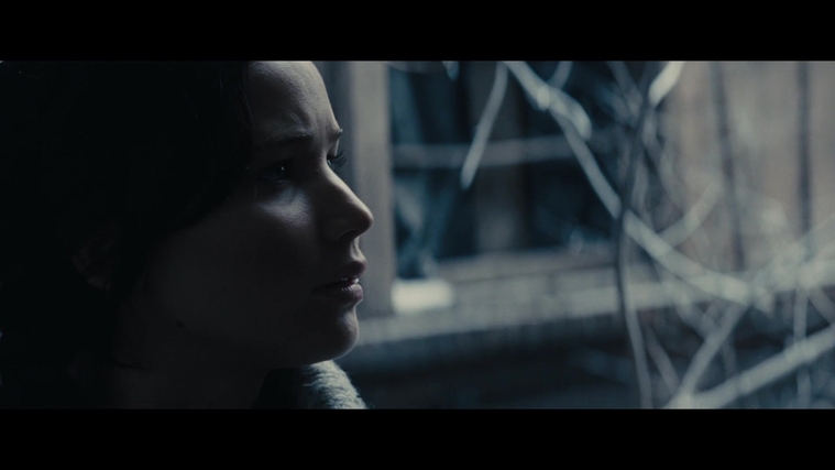 The_Hunger_Games_Catching_Fire_2013_1080p_BluRay_x264_AAC_-_Ozlem_00355.jpg