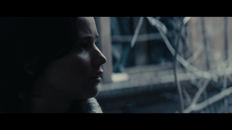 The_Hunger_Games_Catching_Fire_2013_1080p_BluRay_x264_AAC_-_Ozlem_00356.jpg